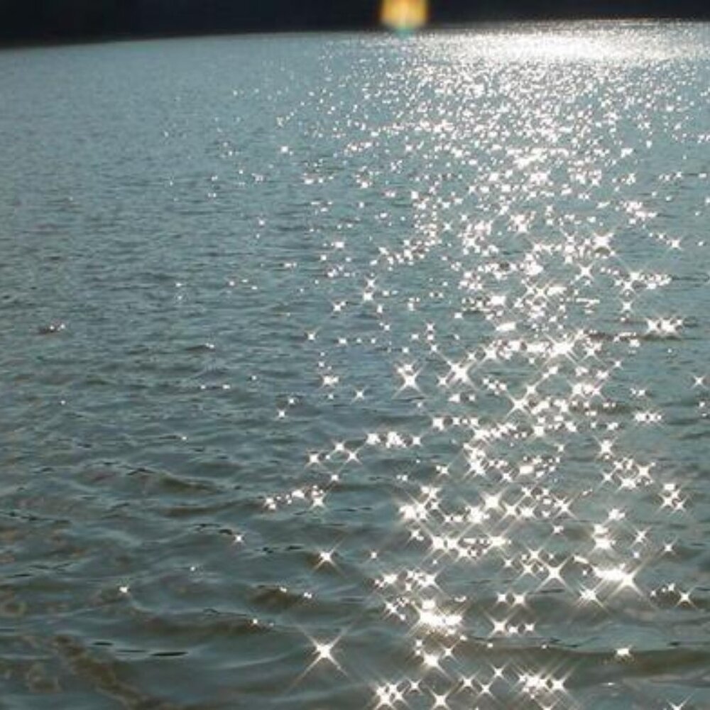 Meet your Posher, Stellar ENCORE